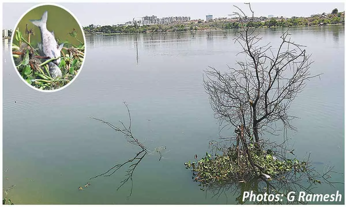 Residents of Ameenpur on high alert as heavy rains cause flooding concerns