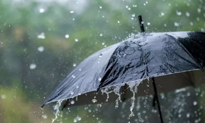 Telangana to Experience Moderate Rainfall for Next 5 Days, Forecasted by Meteorological Department