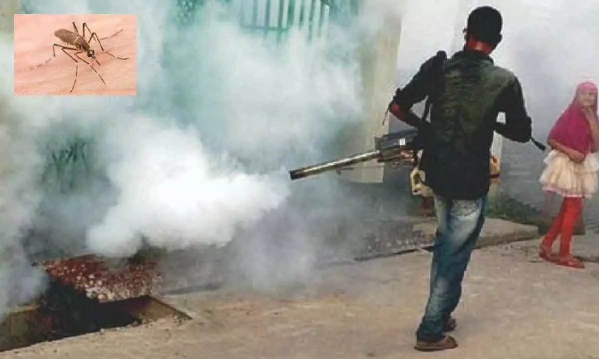 GHMC intensifies efforts to combat mosquito-borne diseases