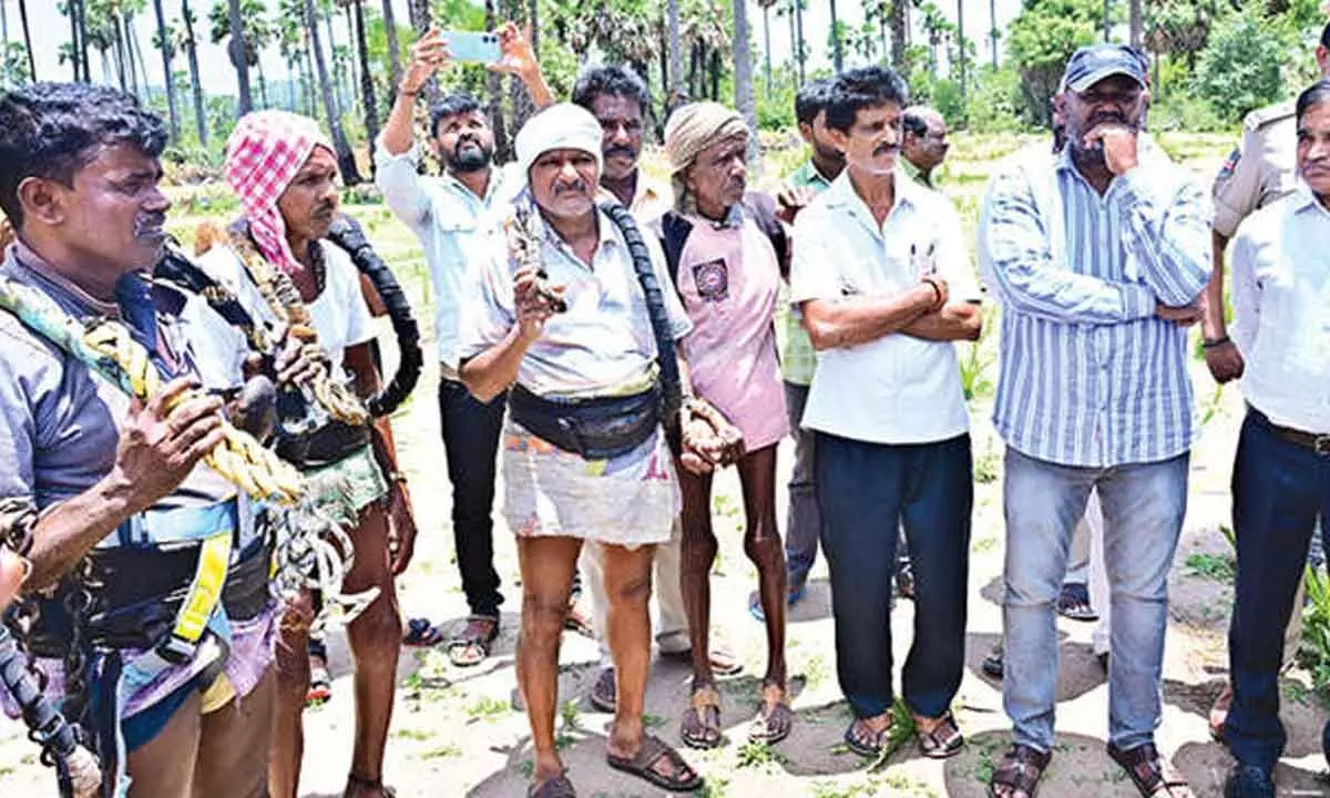 Government dedicated to improving the welfare of toddy tappers