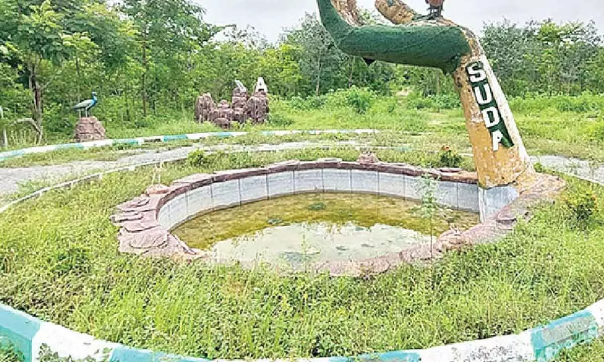 Neglect Takes Toll on SUDA Park