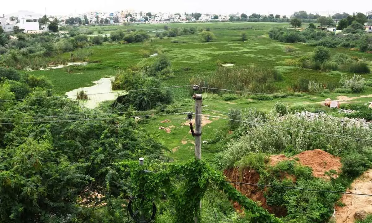 RK Puram lake in Hyderabad stays dry despite heavy rainfall.