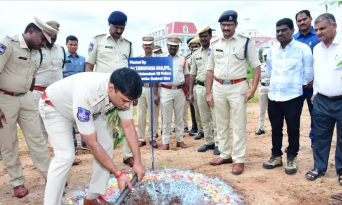 SP T Srinivas Rao Plants Saplings