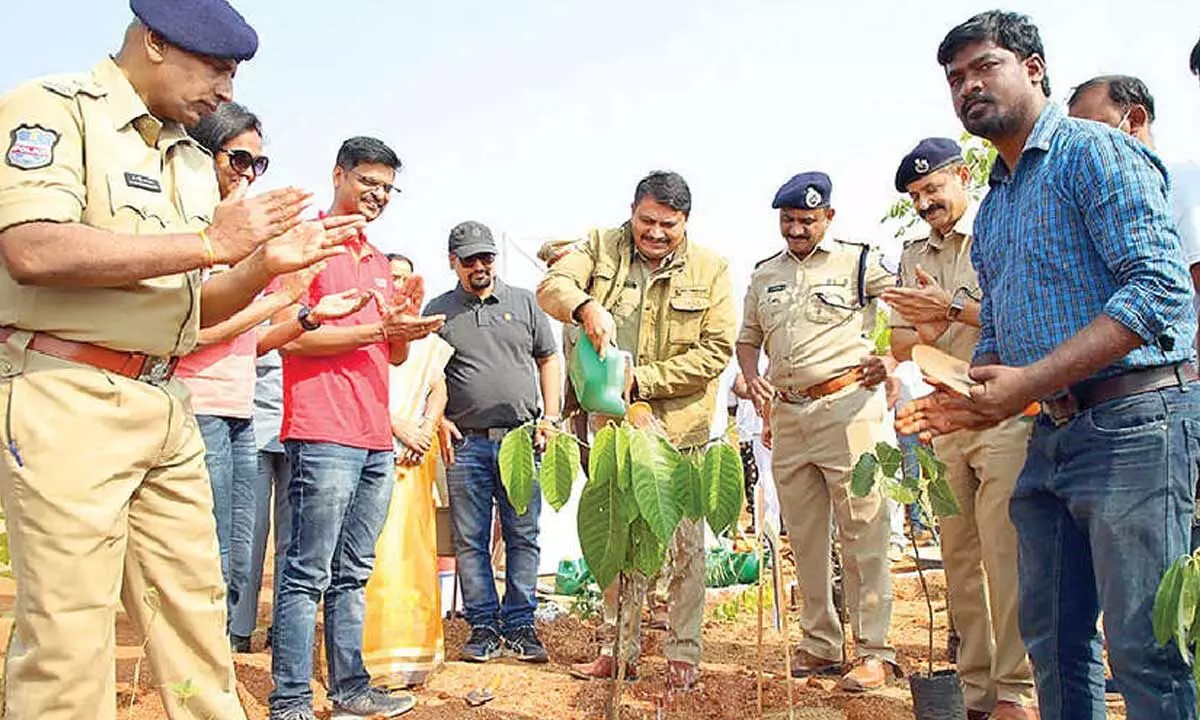 Eco-Warrior Adopts Miyawaki Method to Boost Hyderabad's Green Spaces