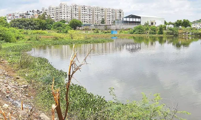 Encroachments Devour Hasmathpet Lake