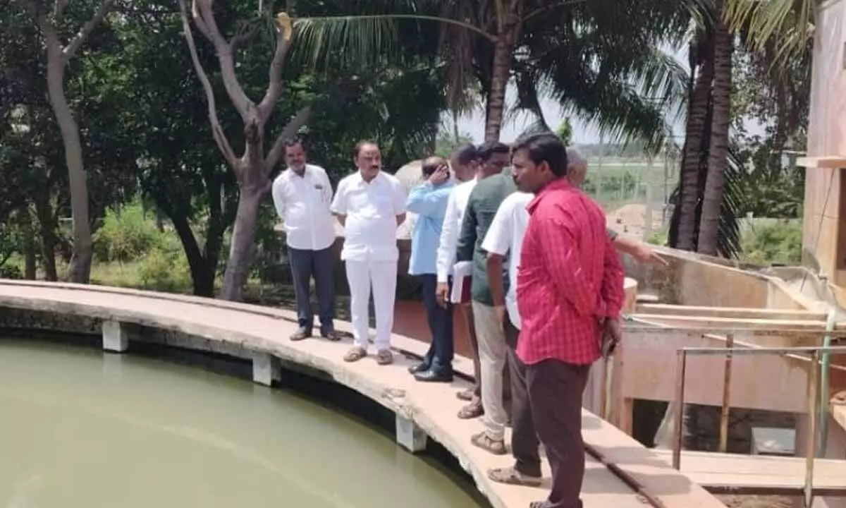 Municipal Chairman Reviews Jamulamma Filter Bed to Guarantee Safe Drinking Water