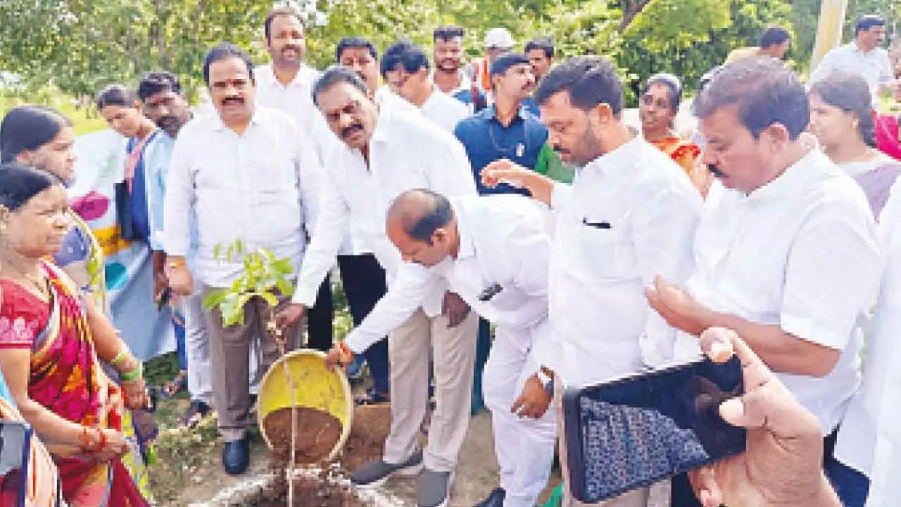 Railway Collector Launches Clean and Green Initiative