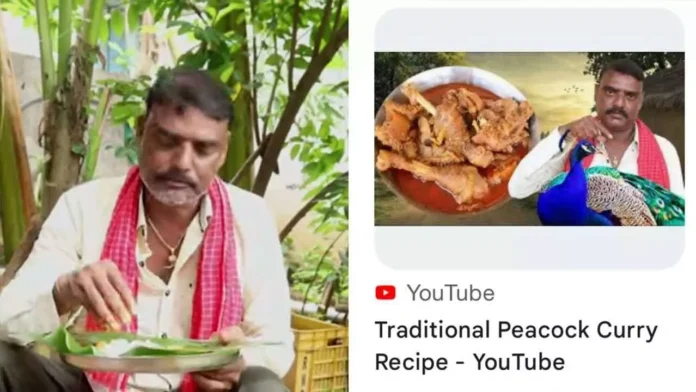 Sircilla YouTuber in Legal Hot Water for Peacock Curry Video