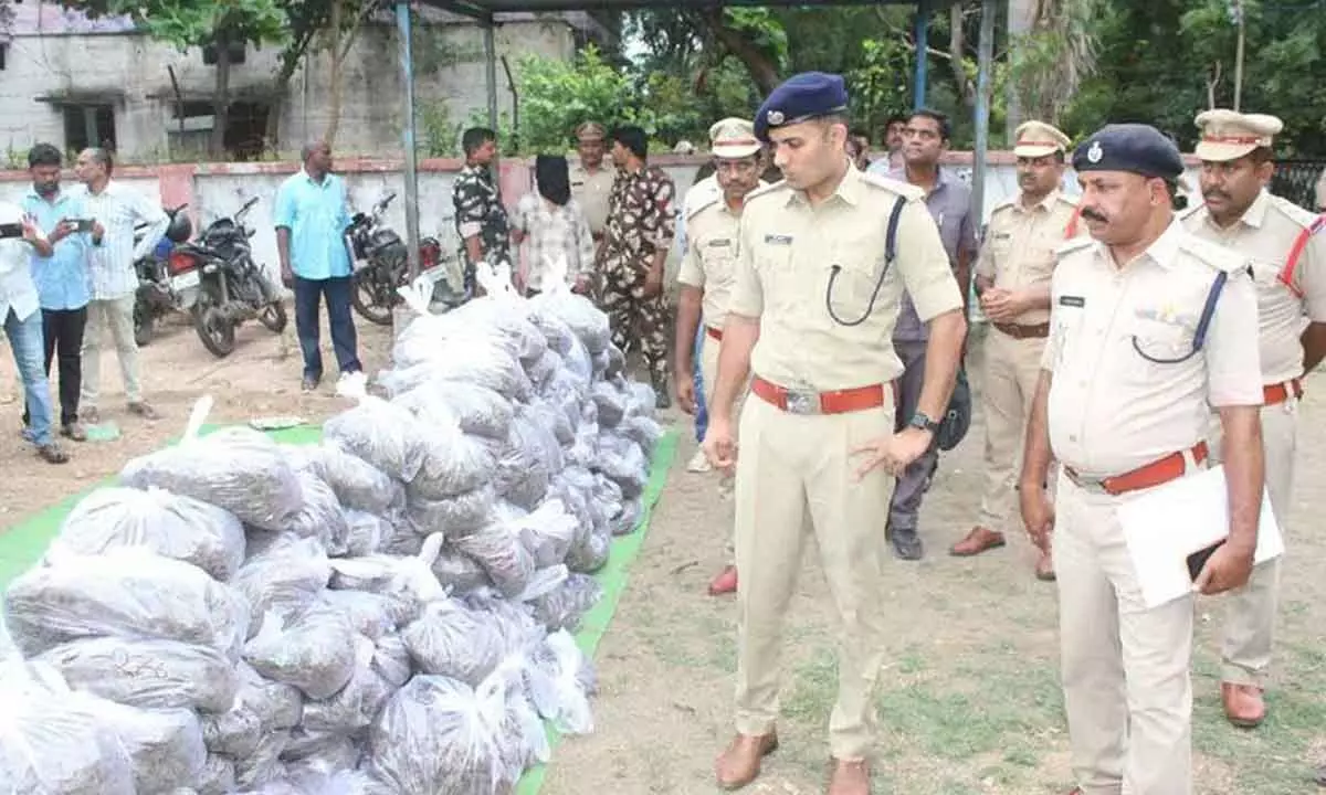 900 Kg of Ganja Seized in Adilabad, Two Arrested by Police