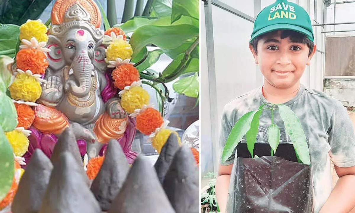 Boy on a Mission to Increase Green Cover with Seed Modak Initiative