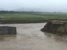 Breach in Sitarama Project's Main Canal, Peddavagu Ring Bund Washed Away