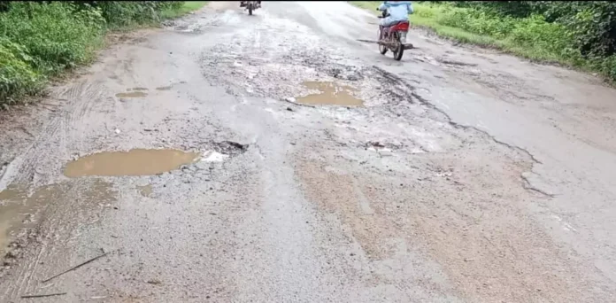 BSP Urges Swift Action on Road Repairs in Gadwal Constituency