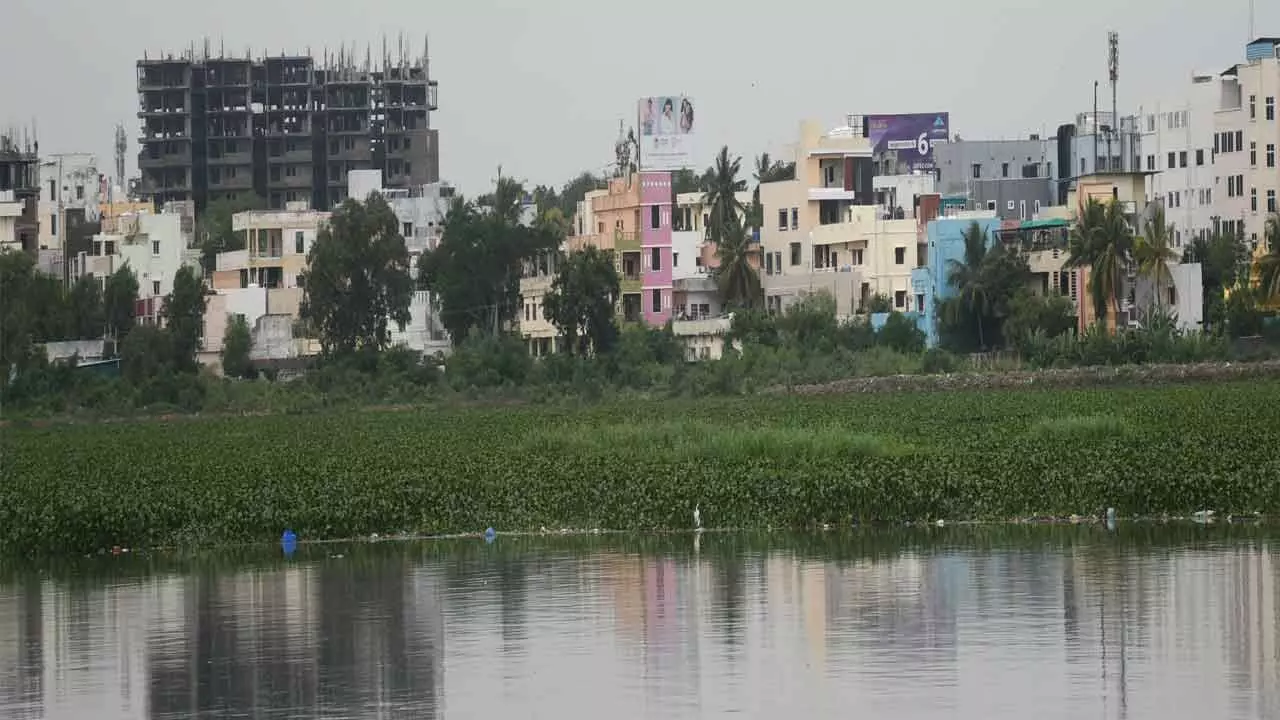 Developers encroach on Uppal Lake, leading to severe water quality deterioration