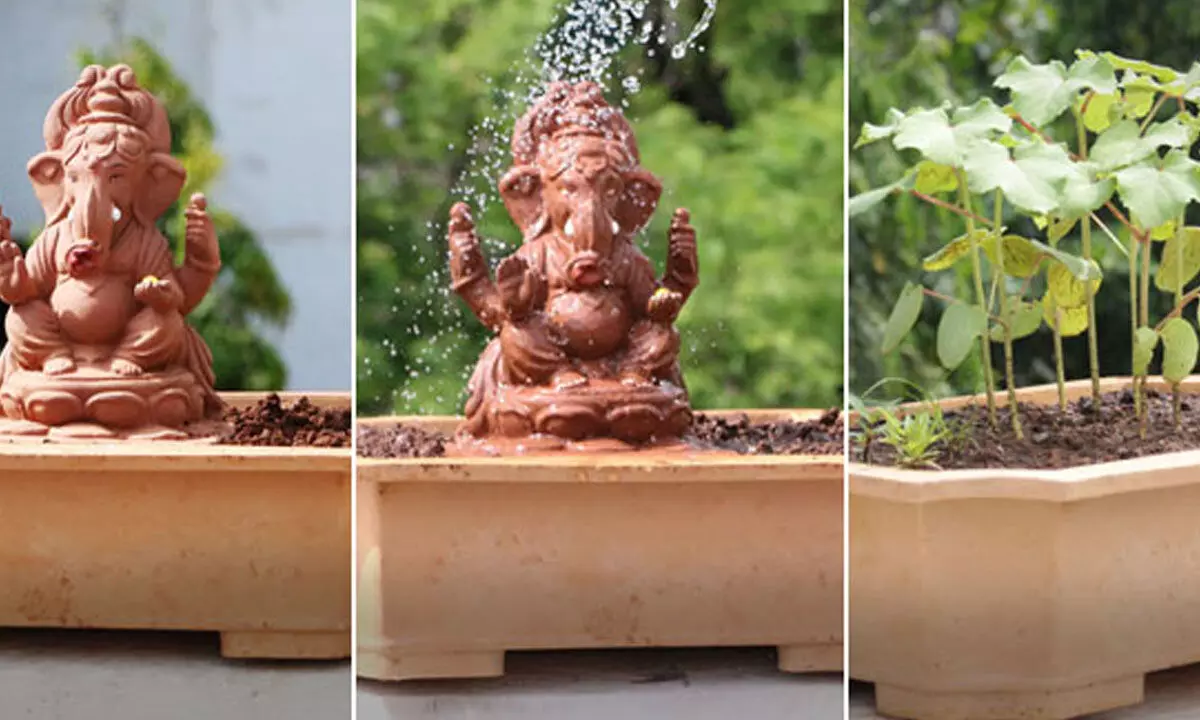 Eco-Friendly Festival Initiative: Seed Ganesha Launched