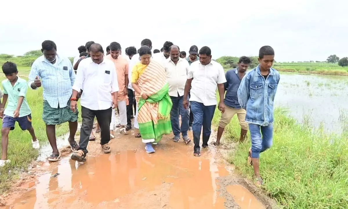 MP Aruna Calls for Support for Farmers Affected by Crop Loss