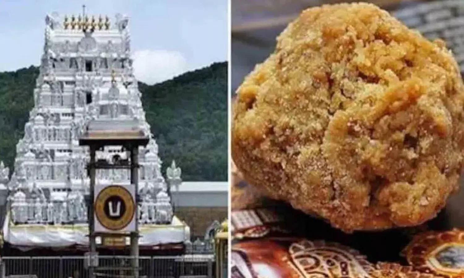 TTD Chief Priest Confirms Laddu Prasadam is Free from Any Issues