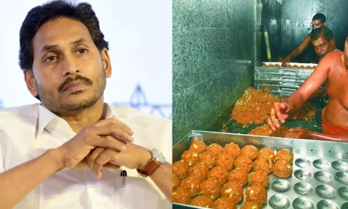 YSRCP Moves High Court, Requests CBI Investigation into Tirumala Laddu Controversy