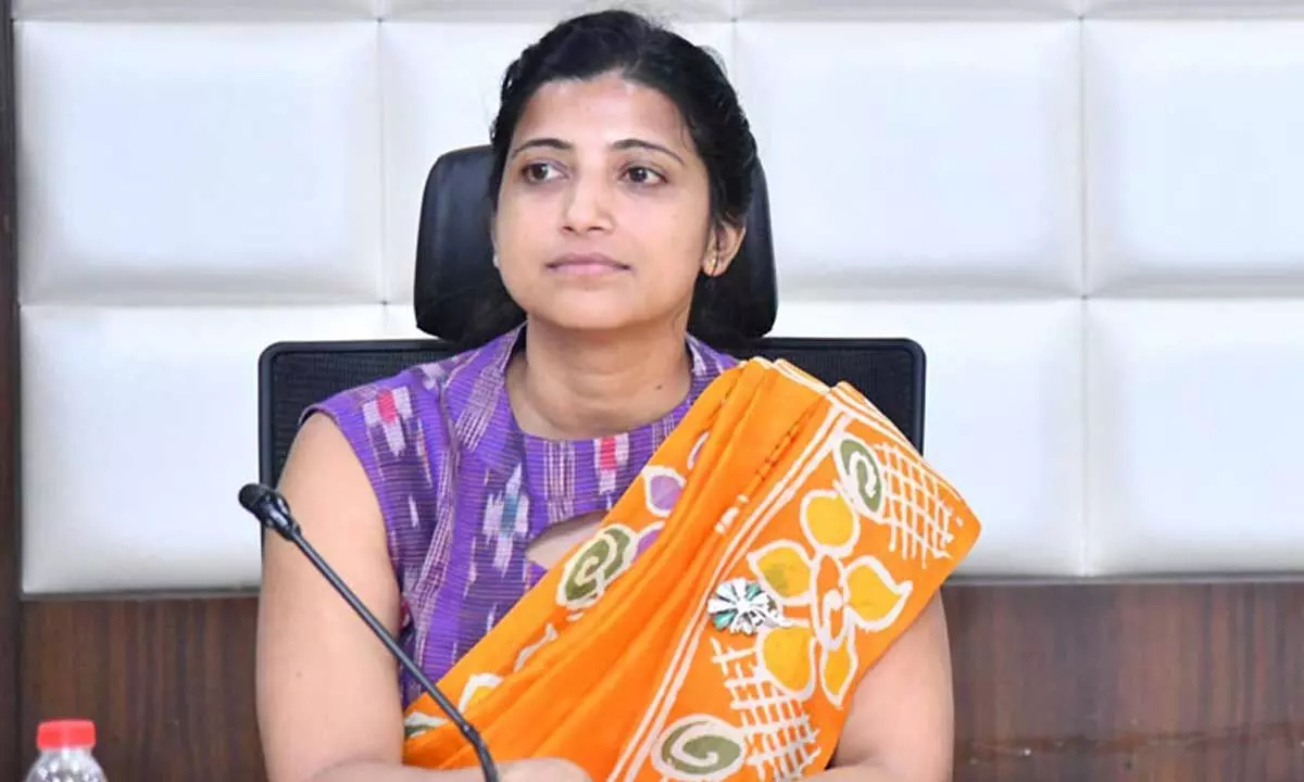 GHMC to Initiate Special Campaign to Curb Chikungunya Cases