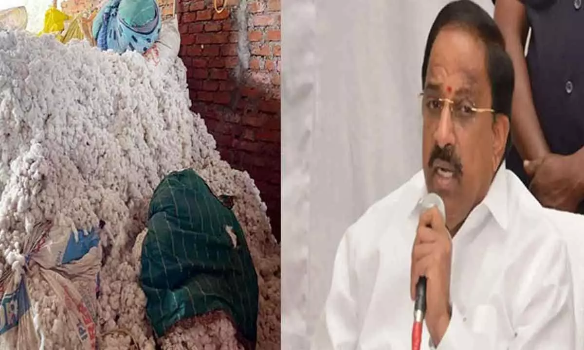 Minister Tummala Instructs Adilabad Collector to Ensure Seamless Cotton Procurement