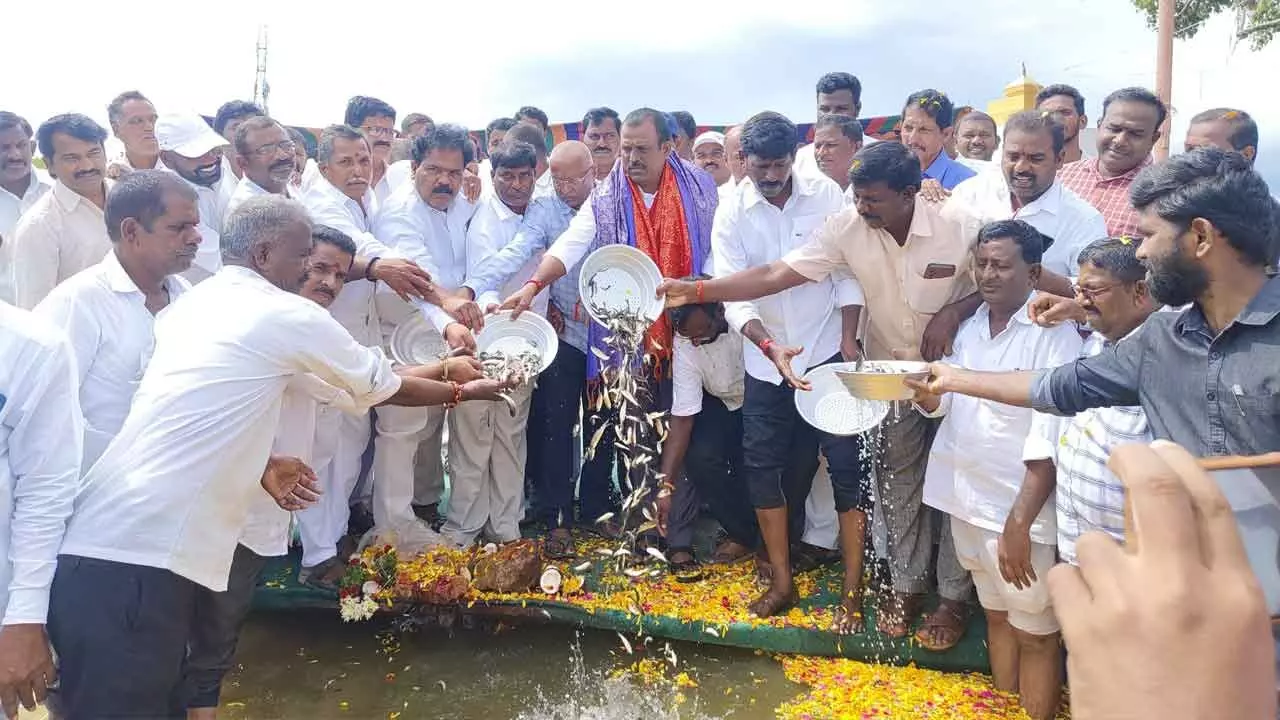 MLA Madhusudhan Reddy Initiates Fish Seed Release in Local Tanks