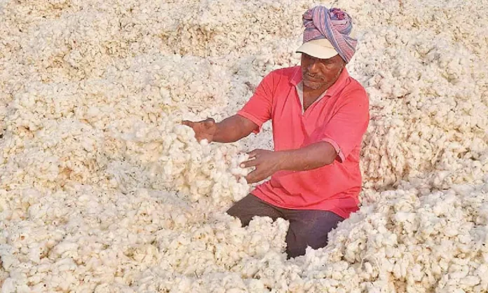 New App Launched to Support Cotton Farmers