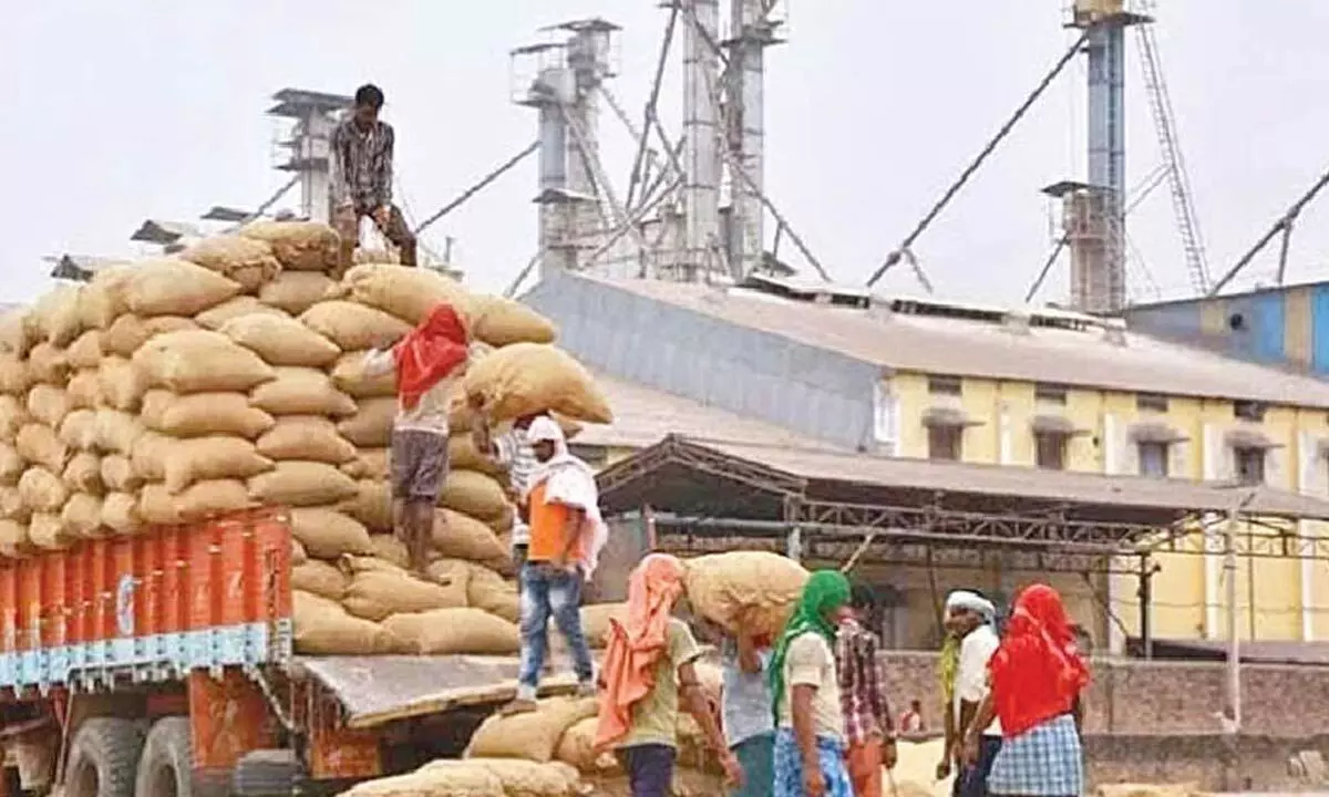 Rice Millers Oppose Bank Guarantee Requirement for CMR