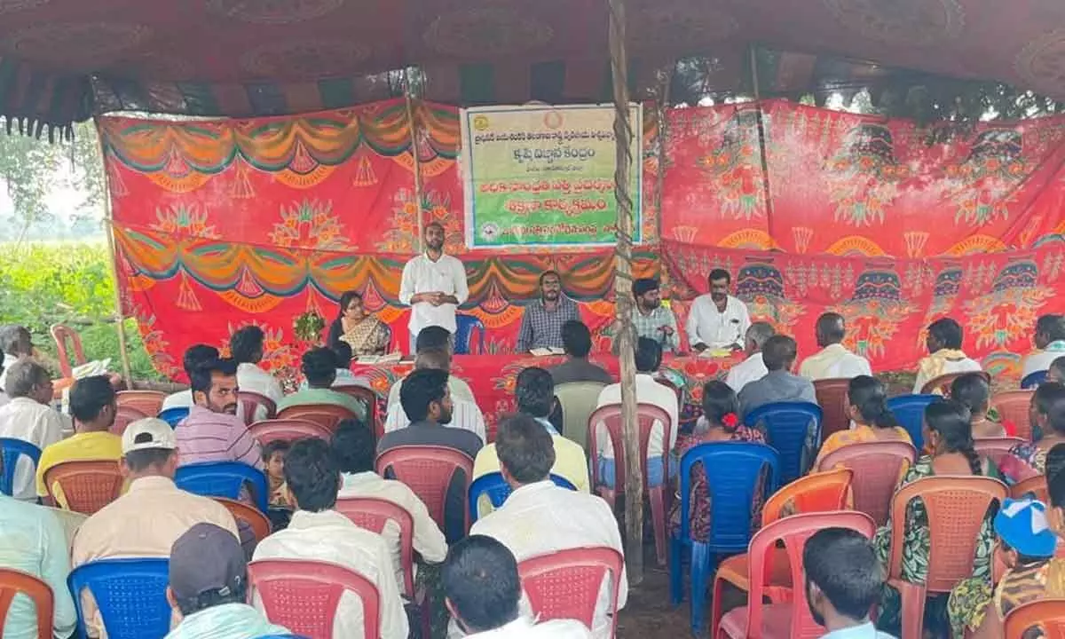 Workshop on High-Density Cotton Cultivation Held in Nagar Kurnool