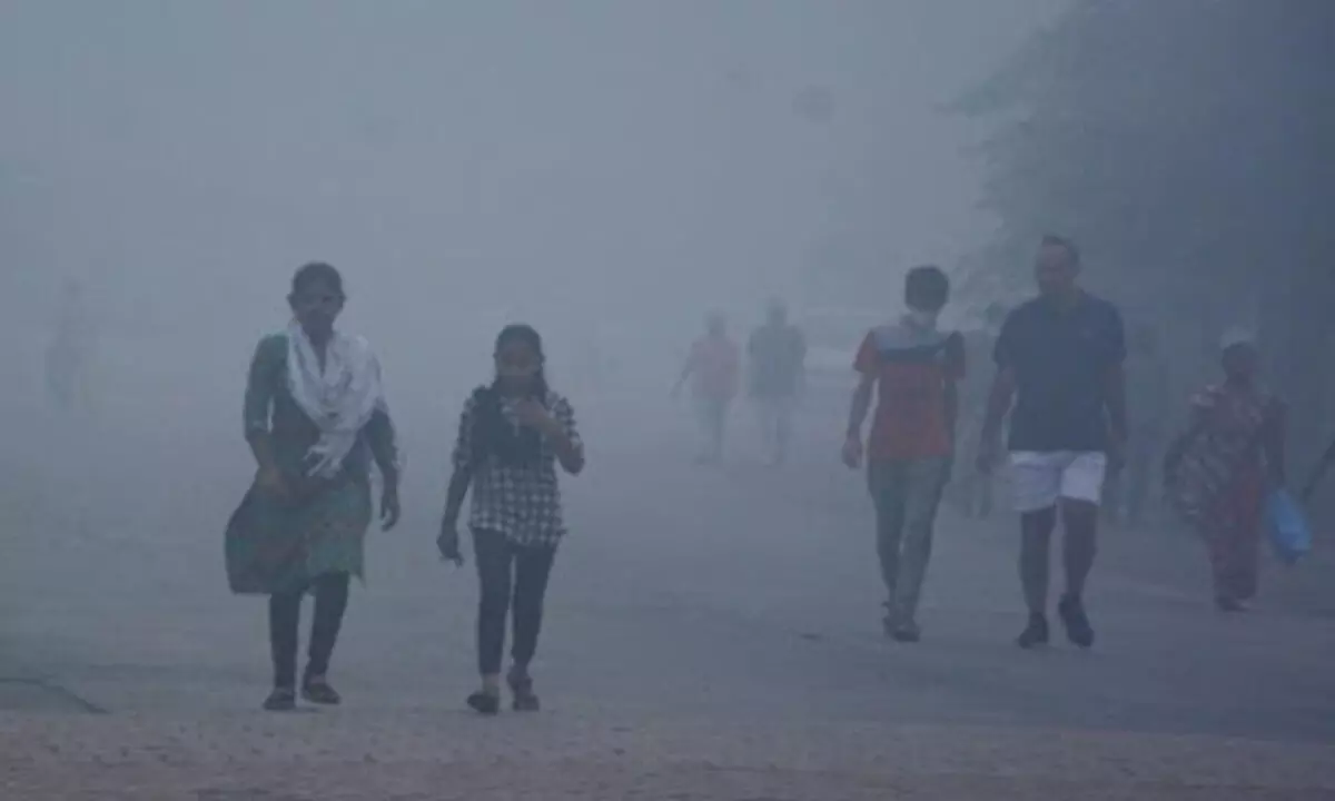 Hyderabad and Telangana Districts Experience Severe Cold Wave