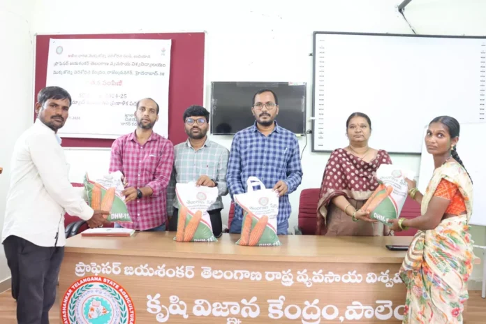 Maize Seeds Distributed to Farmers at Agricultural Research Center