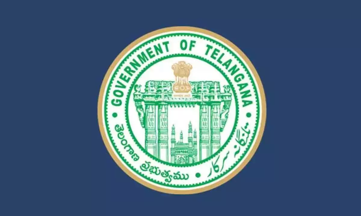 Telangana Government Resolves Zilla Parishad Confusion