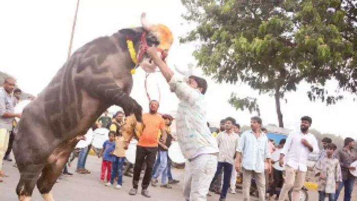 Yadav Community Celebrates Sadar Festival with Enthusiasm