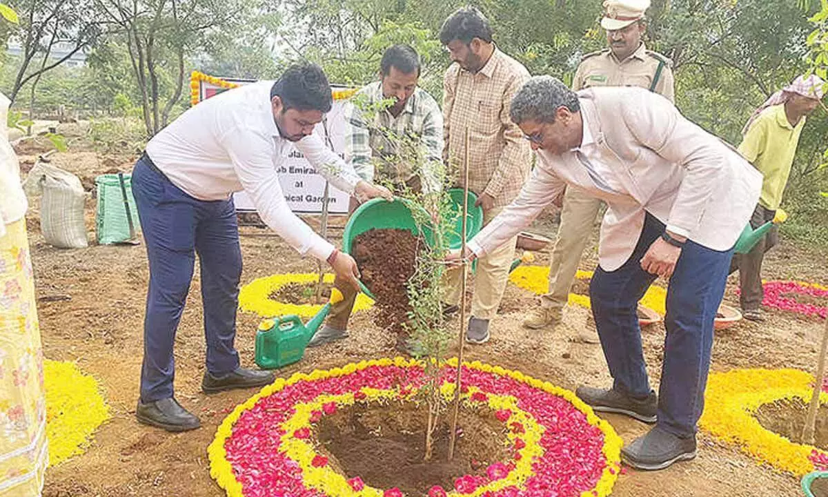 53 trees planted to mark UAE National Day