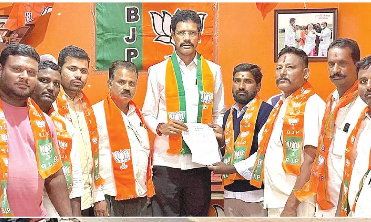 BJP appoints local-level leaders