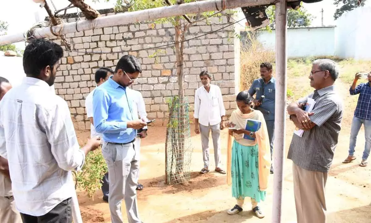 Collector emphasizes timely completion of Indiramma Illu survey