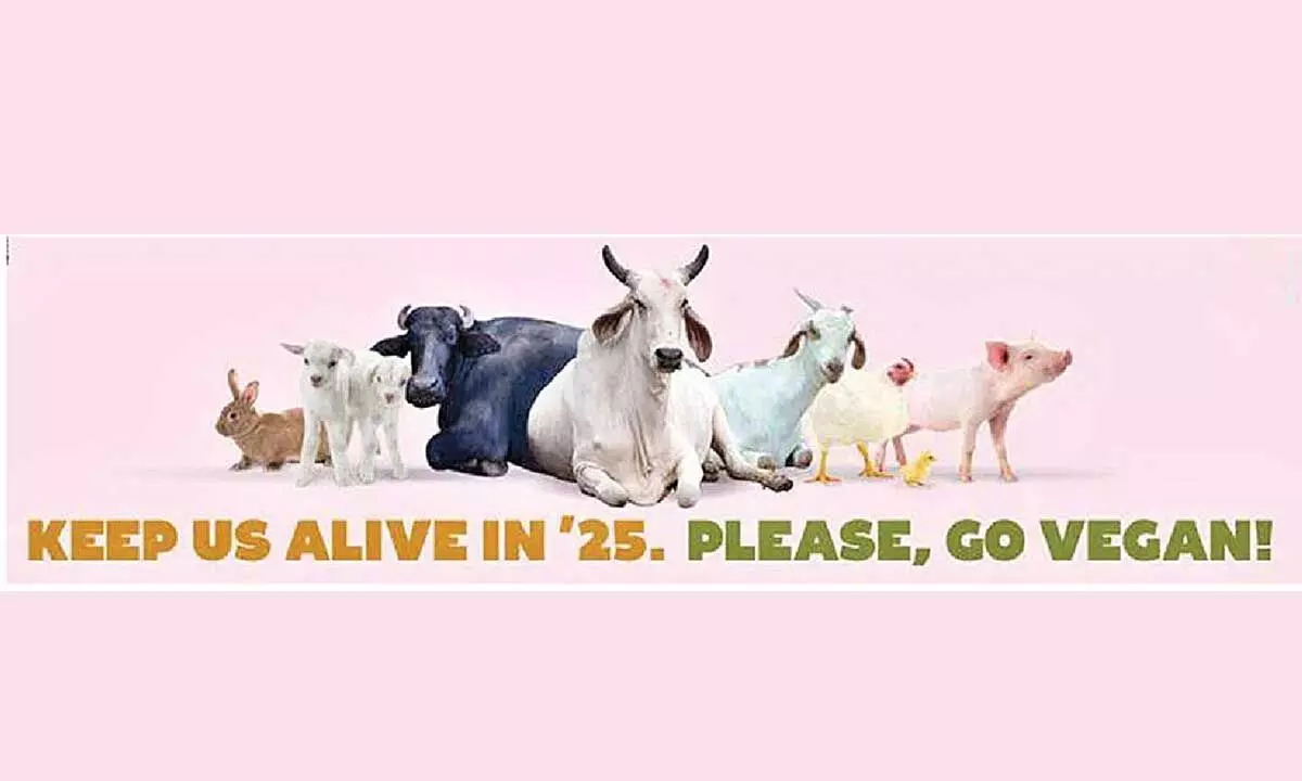 PETA puts up billboard encouraging people to go vegan