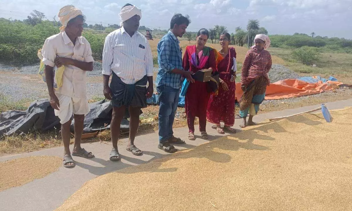 Special Officer Narmada Inspects Paddy Procurement Center in Nadigadda Village