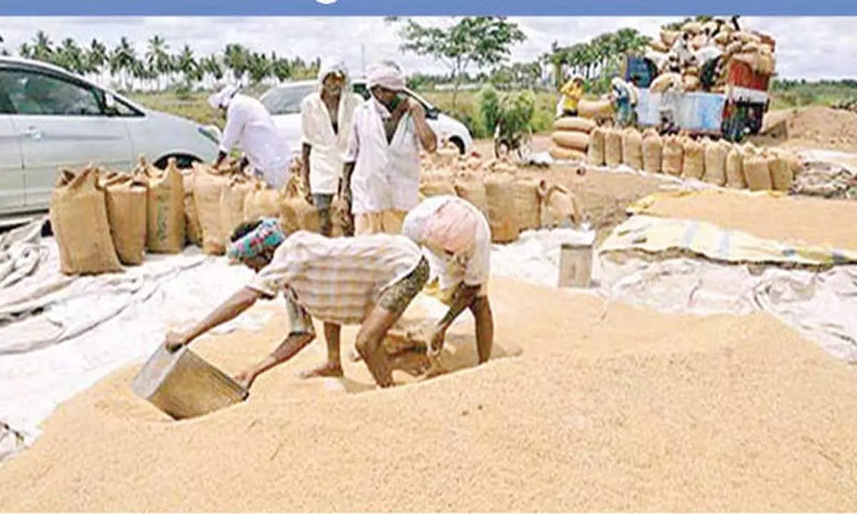 TG achieves record high in fine rice buying