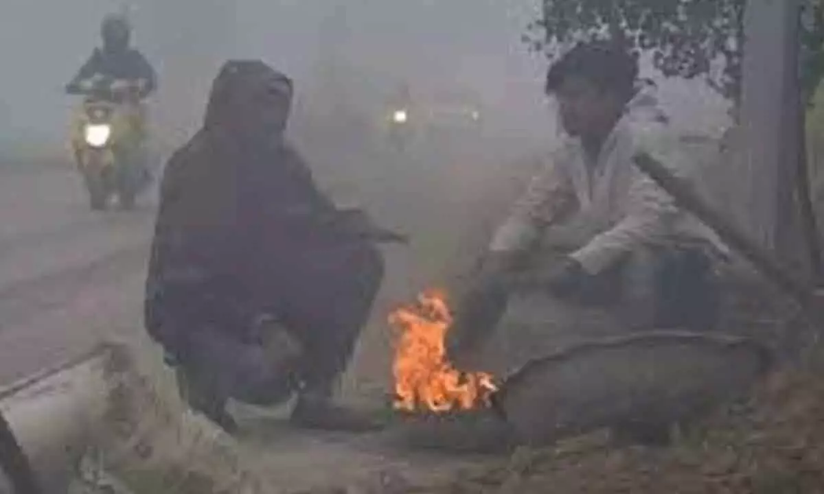 Cold Wave Persists in Telangana with Orange Alert in Several Districts