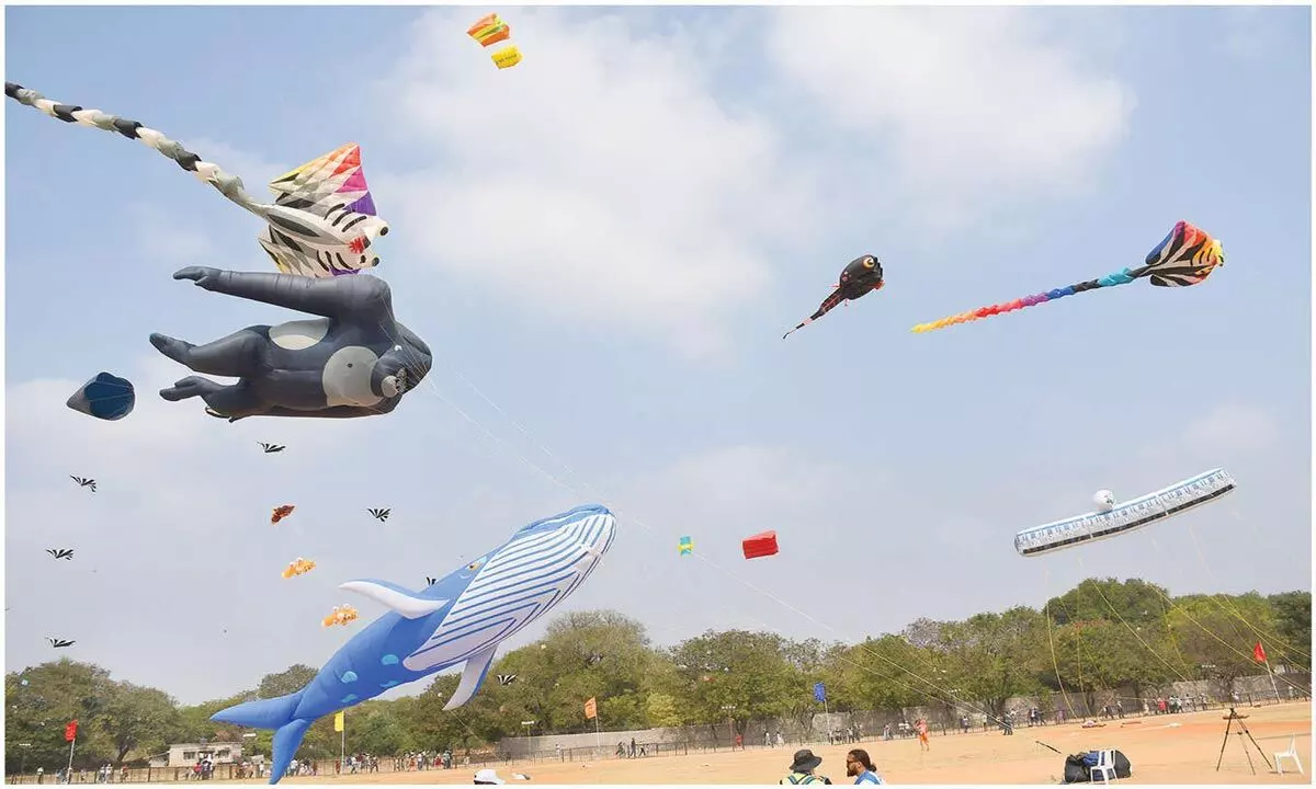 Colorful kites fill city skies during Sankranti