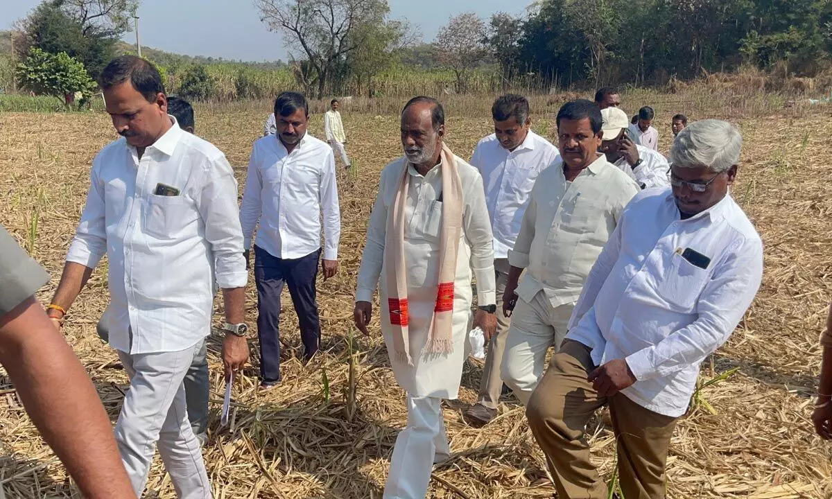 Expert panel and MPs visit Gottigaripalli to review Four Waters model