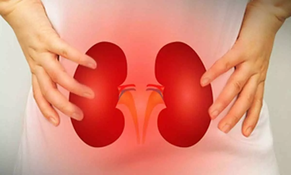 Hyderabad: Saroornagar Hospital Shut Down for Illegal Kidney Transplants