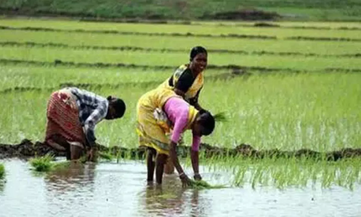 Telangana Farmers' Association criticizes government for cutting Bharosa scheme