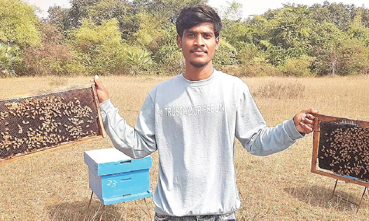 Young entrepreneur finds success with organic honey production