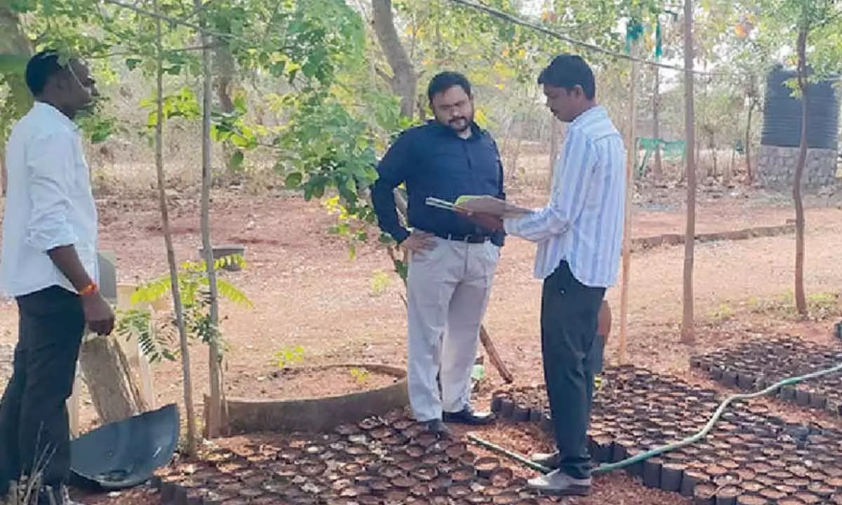 Additional Collector inspects nursery and reviews plants for Vanamahotsavam program