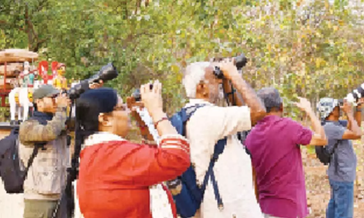 Bird watchers enjoy fantastic time at Botanical Gardens