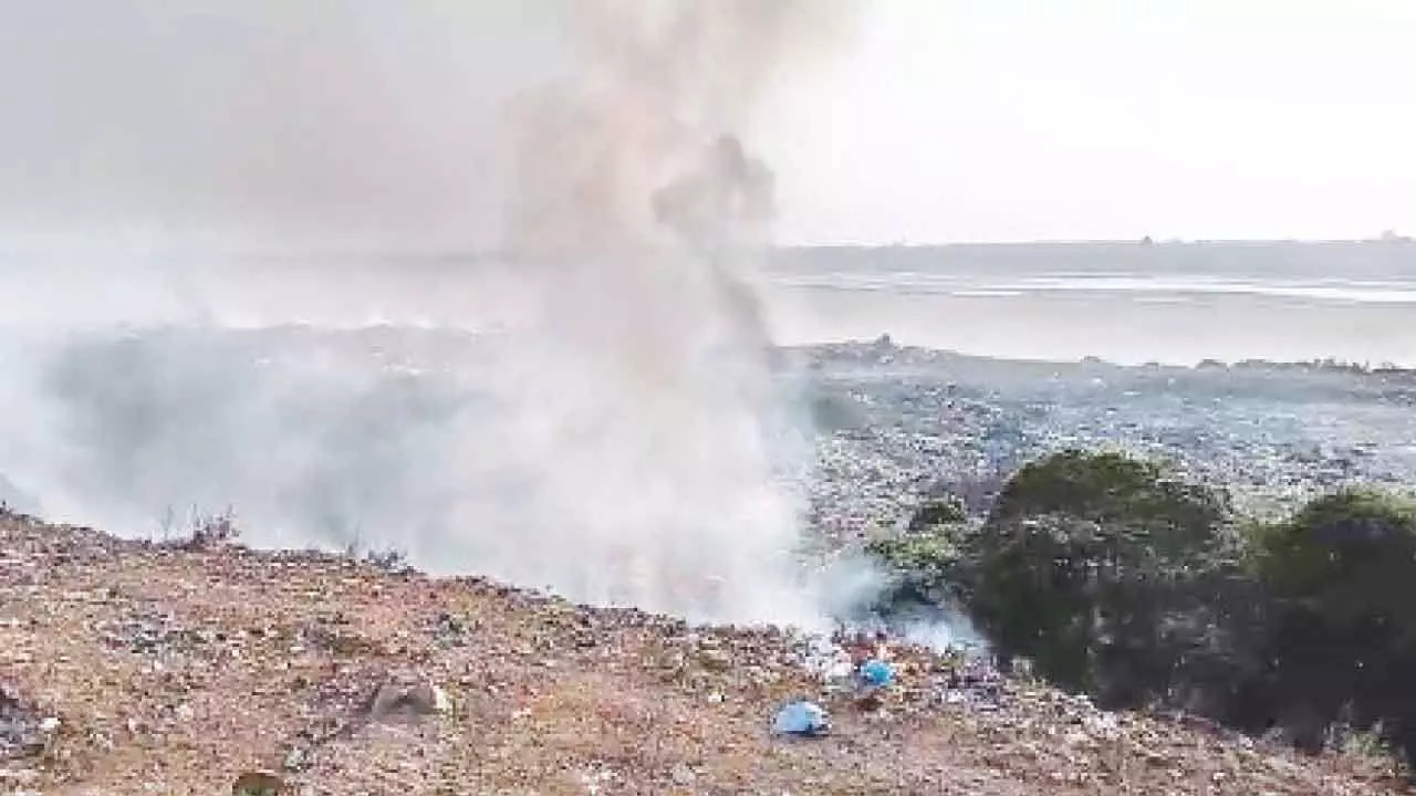 Burning Trash on Godavari Banks Raises Health Concerns