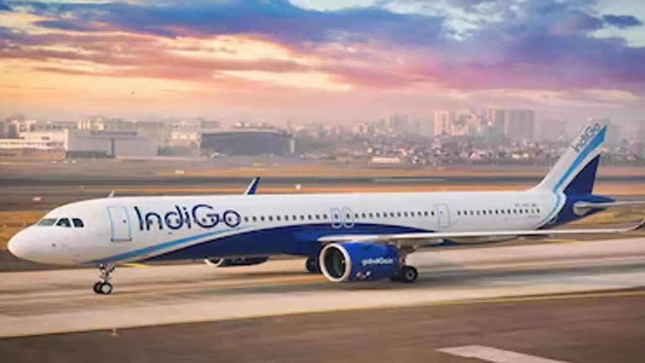 Indigo promises top-quality food and beverage service