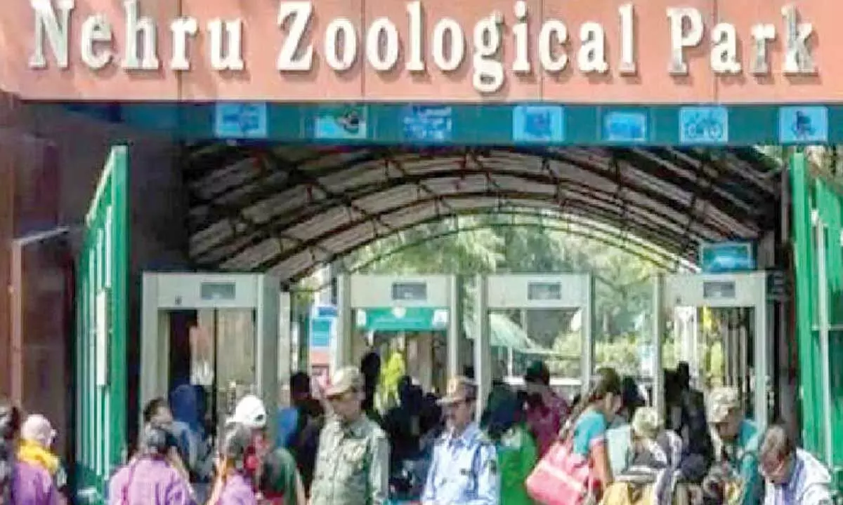 Nehru Zoo ticket prices to increase from March 1