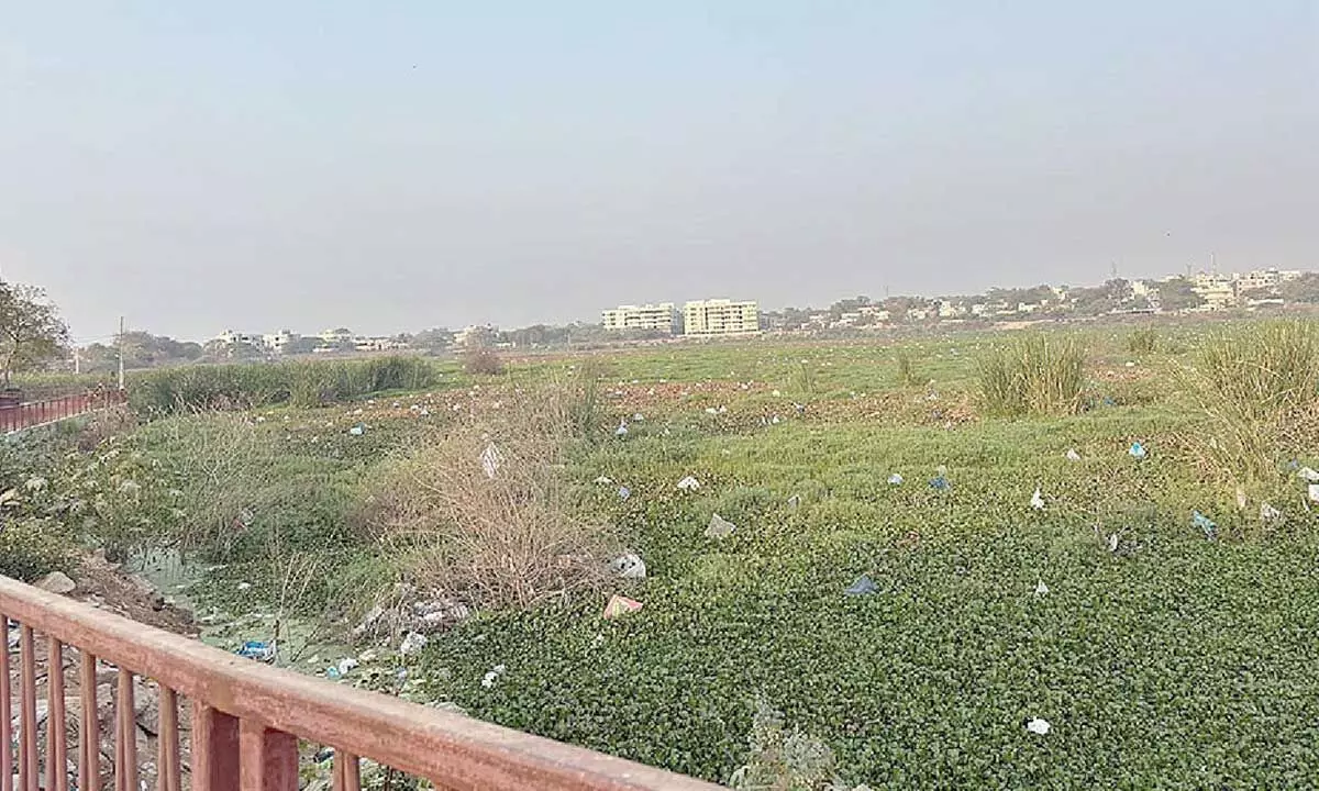 Residents protest against excessive trash dumping in RK Puram Lake