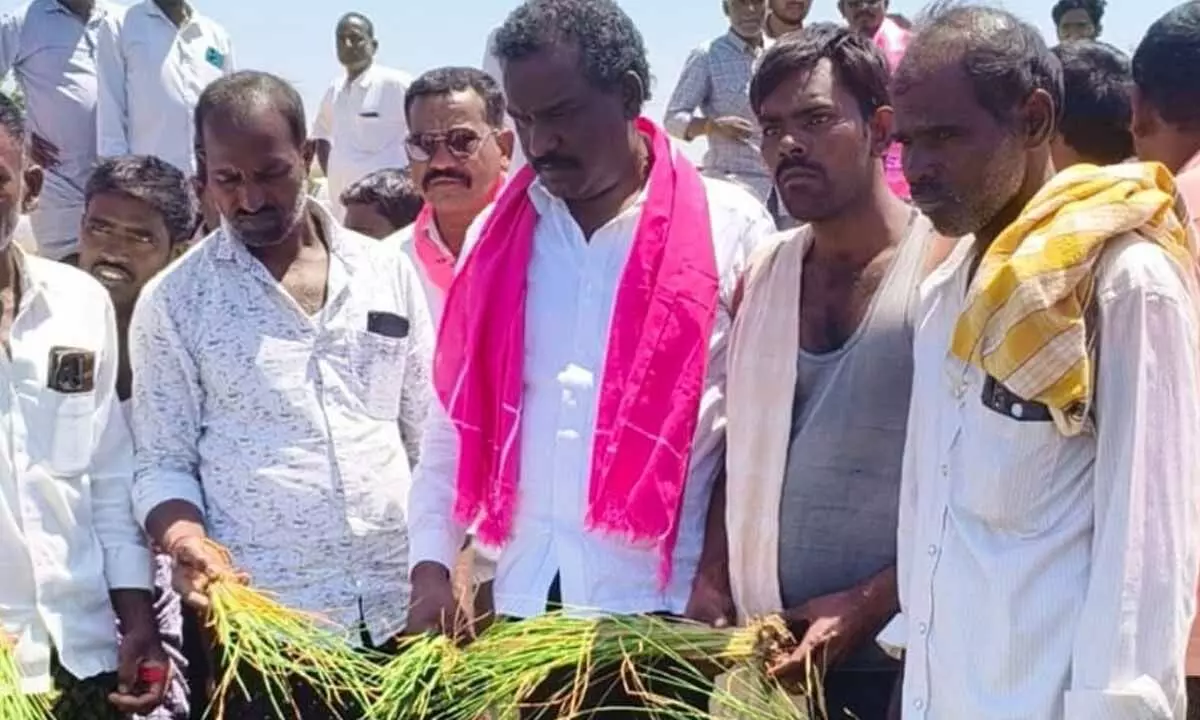 BRS Leader Basu Hanumanthu Naidu Criticizes Congress Govt for Ignoring Farmers, Urges Immediate Water Release in Jogulamba Gadwal